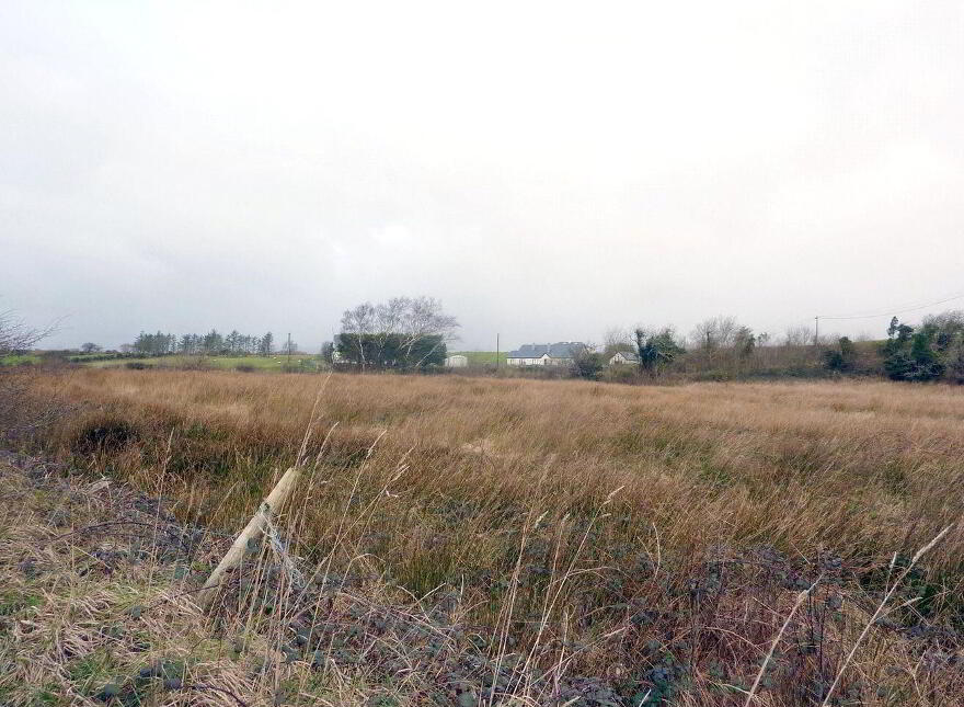 Site, SPP, Camcloon, Glenhest Road, Newport