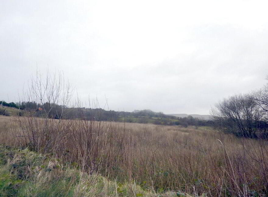 Site, SPP, Camcloon, Glenhest Road, Newport