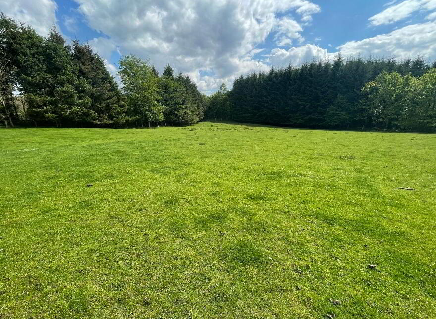 Site, SSP Bohea, Liscarney, Liscarney