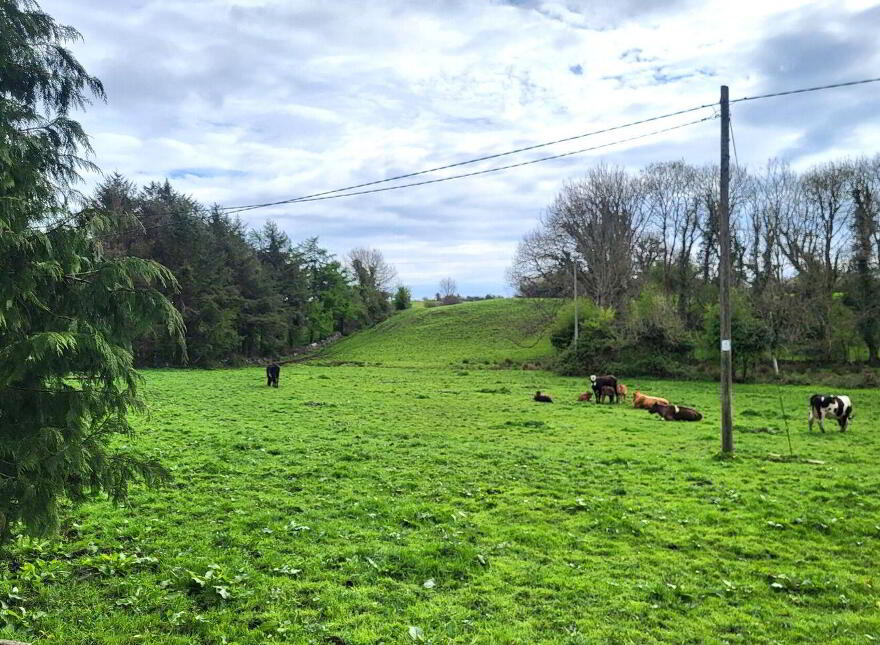 Site, SPP Bunrawer, Ayle, Aghagower
