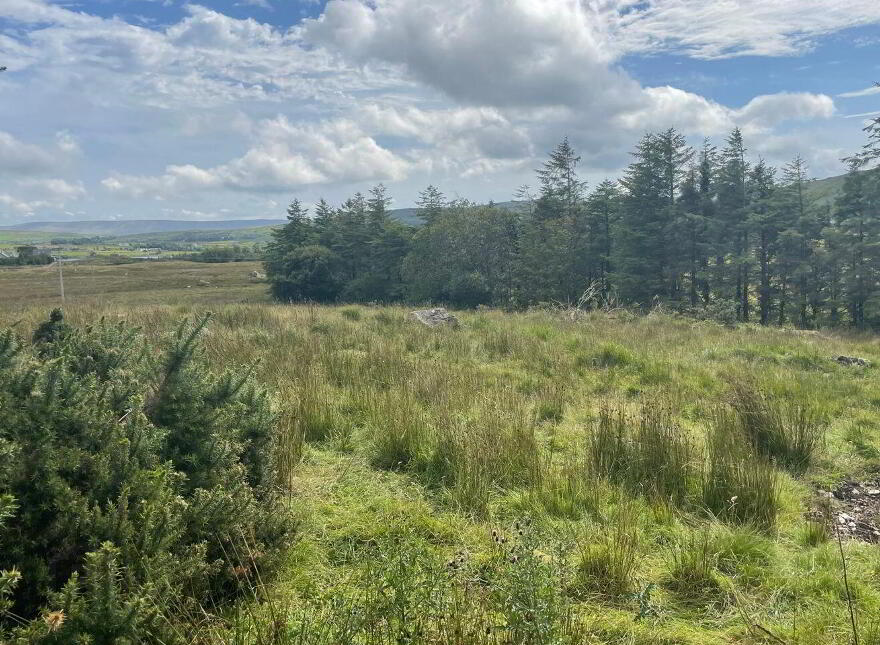 Site, SPP, Glynsk, Liscarney, Liscarney