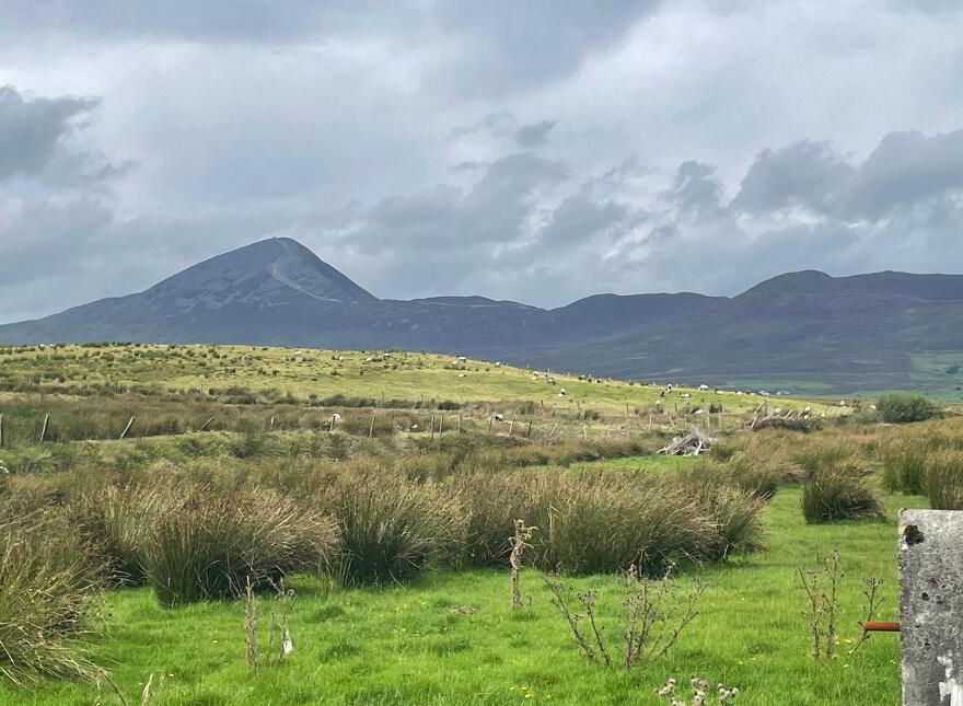 Site, SPP, Glynsk, Liscarney, Liscarney