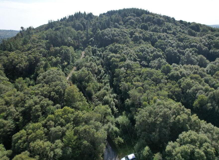 Site, Sold SPP, Cloona, Knappagh