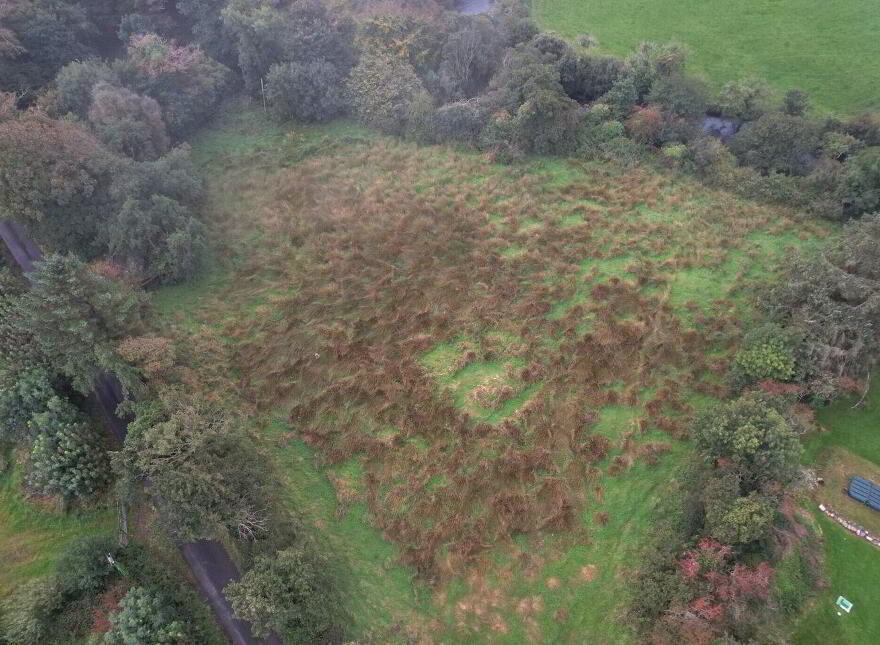 Site, For Sale SPP, Tully, Louisburgh