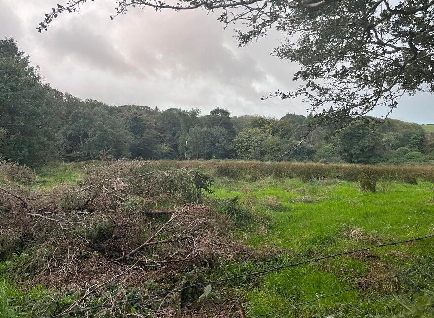 Site, For Sale SPP, Tully, Louisburgh