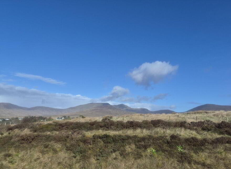 Sandhill, Tiernaur, Newport, F28HY60
