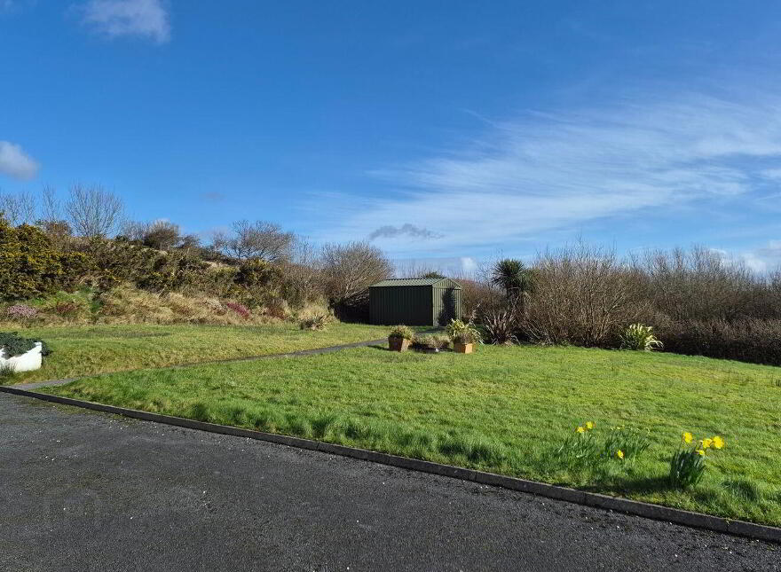 Sandhill, Tiernaur, Newport, F28HY60