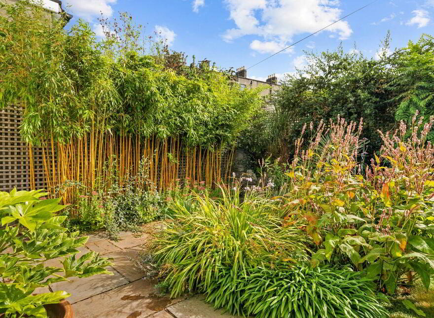 29 Leinster Square, Rathmines, Rathmines, D06T9C0