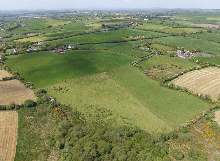 Land At, Killeendaniel, Whitechurch