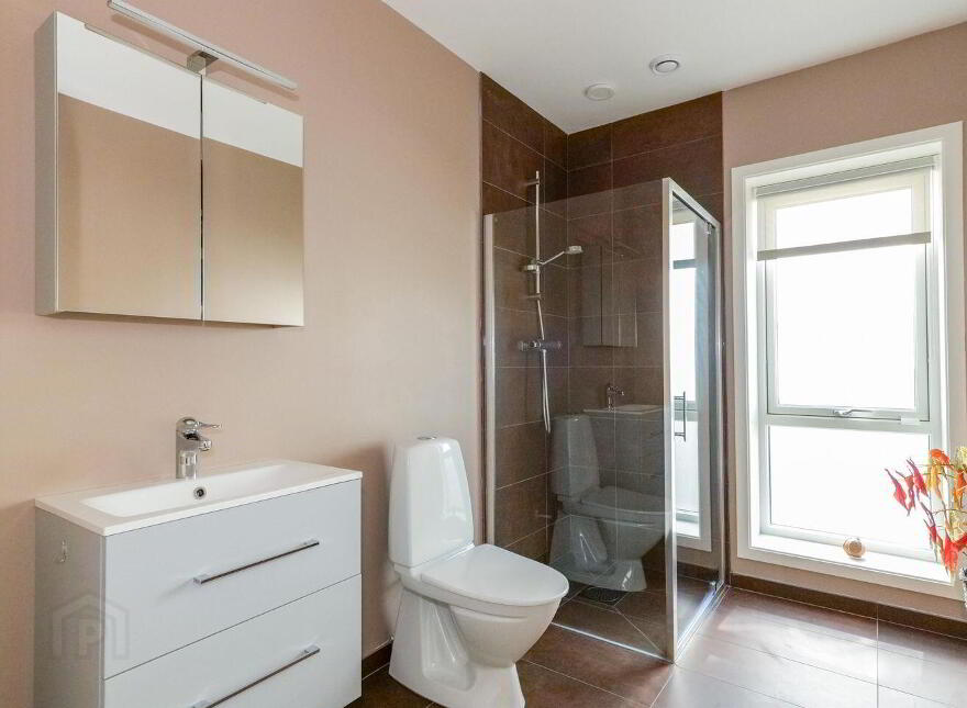 Dublin Road, Oranmore, H9103C9