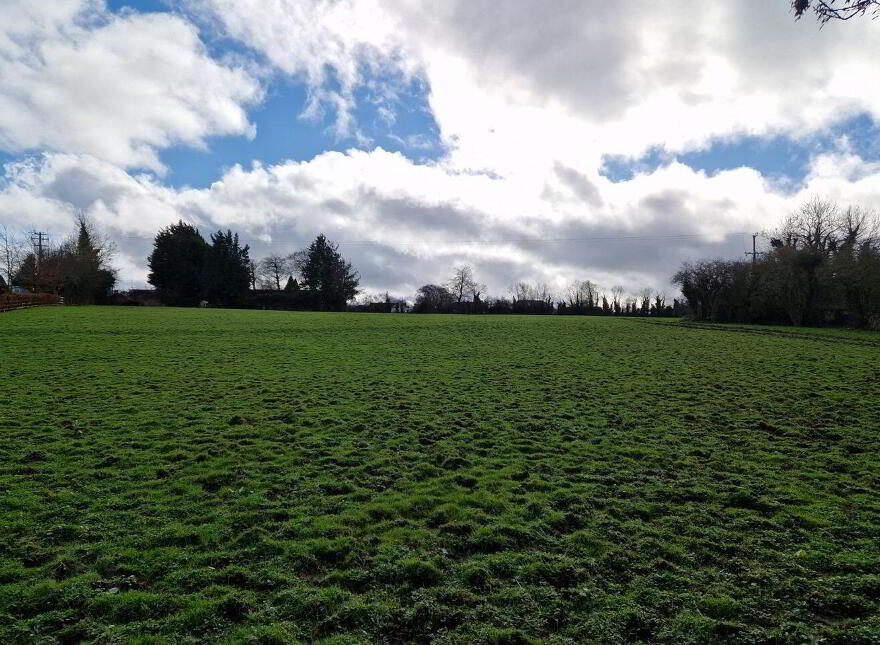 Graigues, Robertstown photo