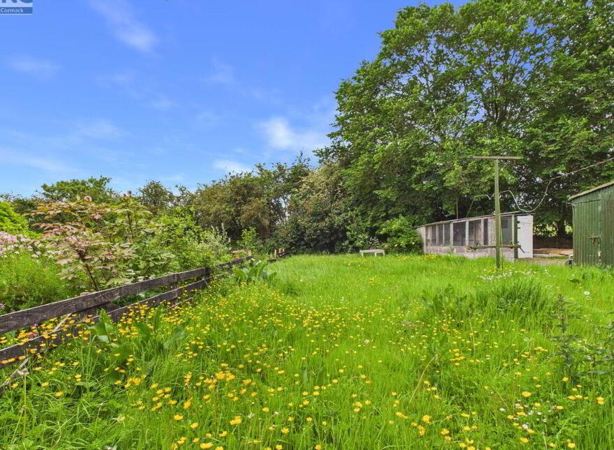6 Phelan Street, Rathvilly, R93X330