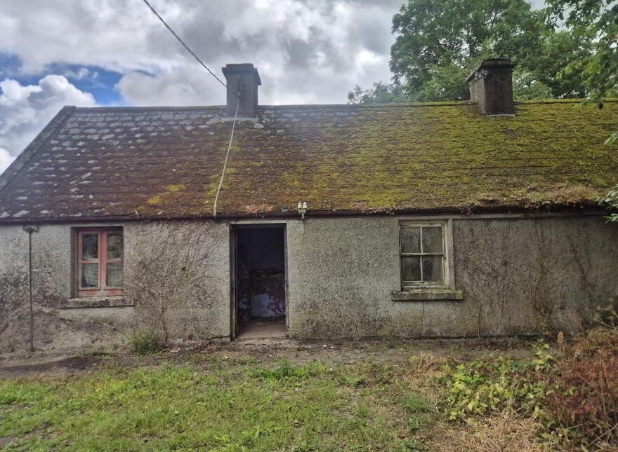 Derelict Cottage, Knocklow, Graiguecullen, R93H7V0