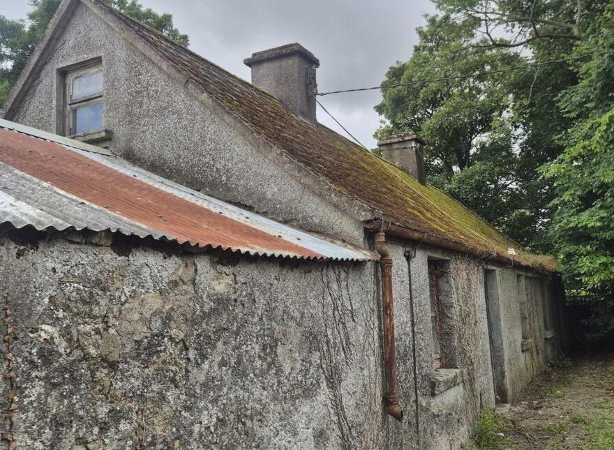 Derelict Cottage, Knocklow, Graiguecullen, R93H7V0