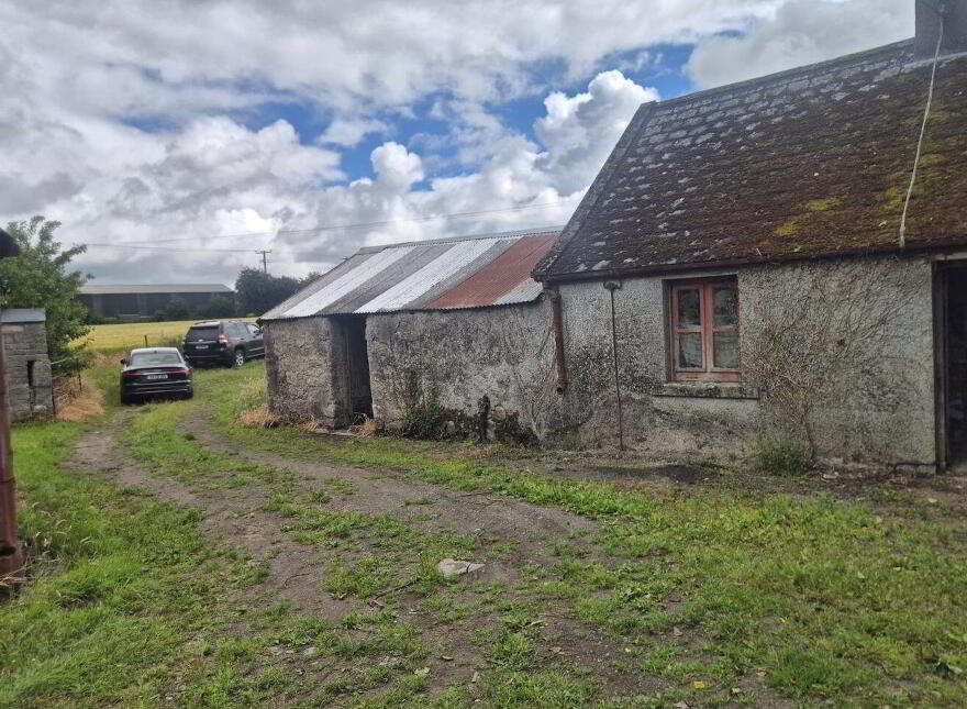 Derelict Cottage, Knocklow, Graiguecullen, R93H7V0