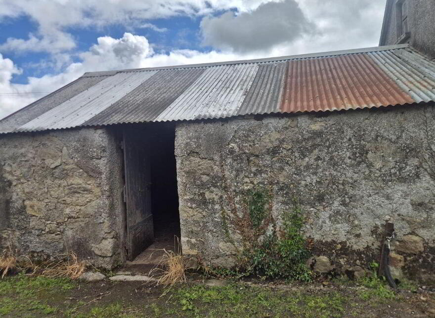 Derelict Cottage, Knocklow, Graiguecullen, R93H7V0