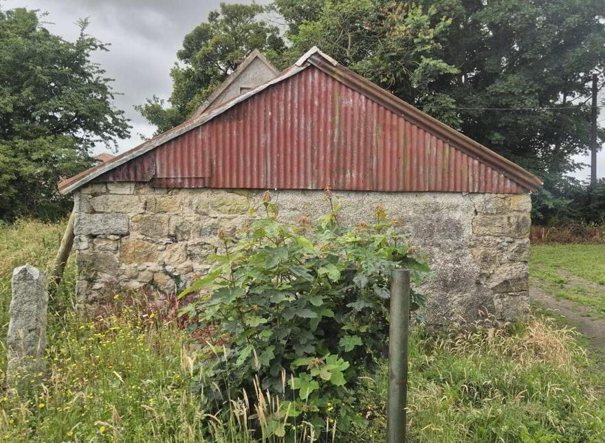 Derelict Cottage, Knocklow, Graiguecullen, R93H7V0