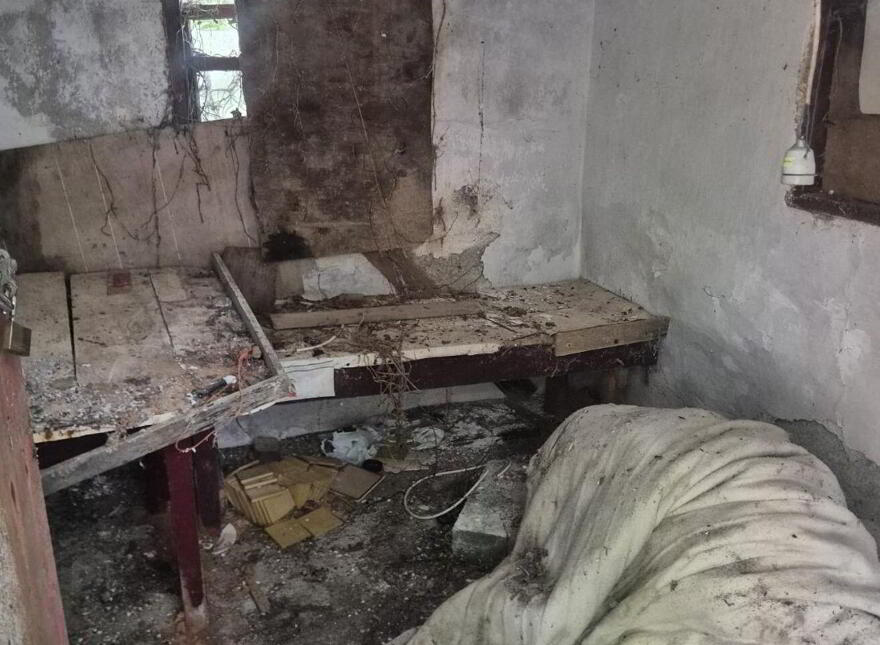 Derelict Cottage, Knocklow, Graiguecullen, R93H7V0