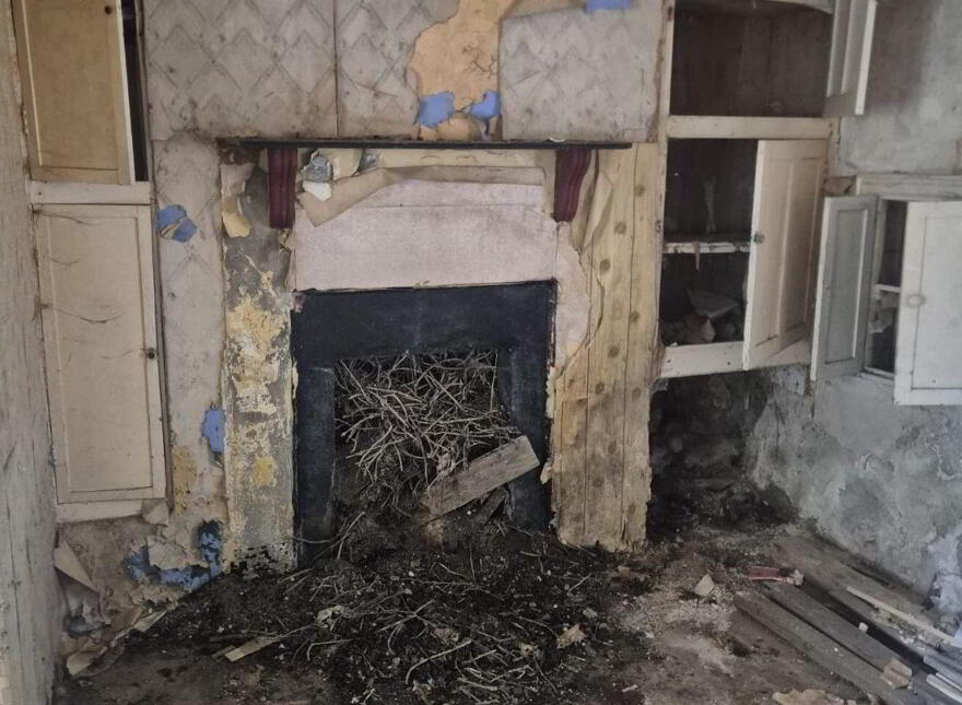 Derelict Cottage, Knocklow, Graiguecullen, R93H7V0