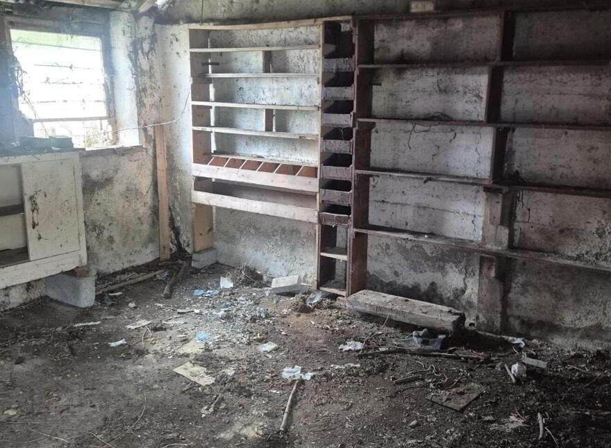 Derelict Cottage, Knocklow, Graiguecullen, R93H7V0
