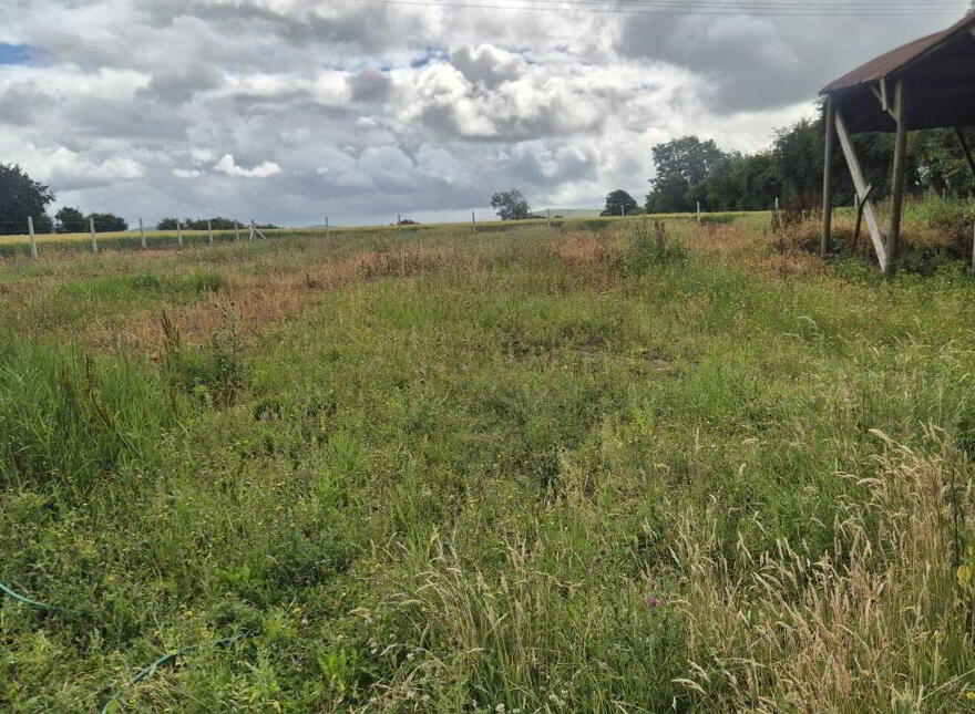 Derelict Cottage, Knocklow, Graiguecullen, R93H7V0