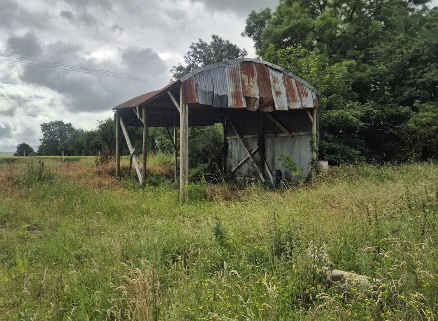 Derelict Cottage, Knocklow, Graiguecullen, R93H7V0