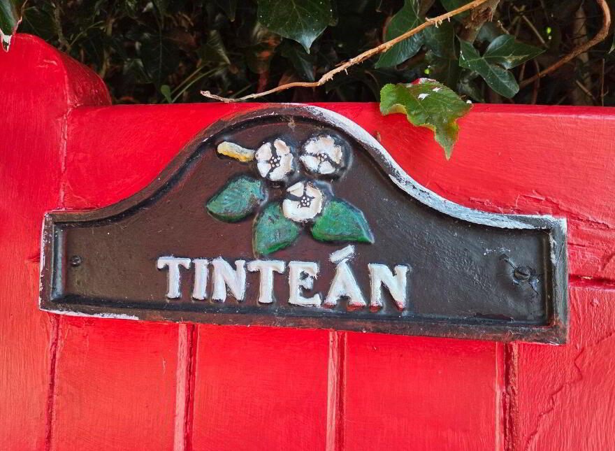 Tintean, Ballinagappa, Clane, W91V4A7