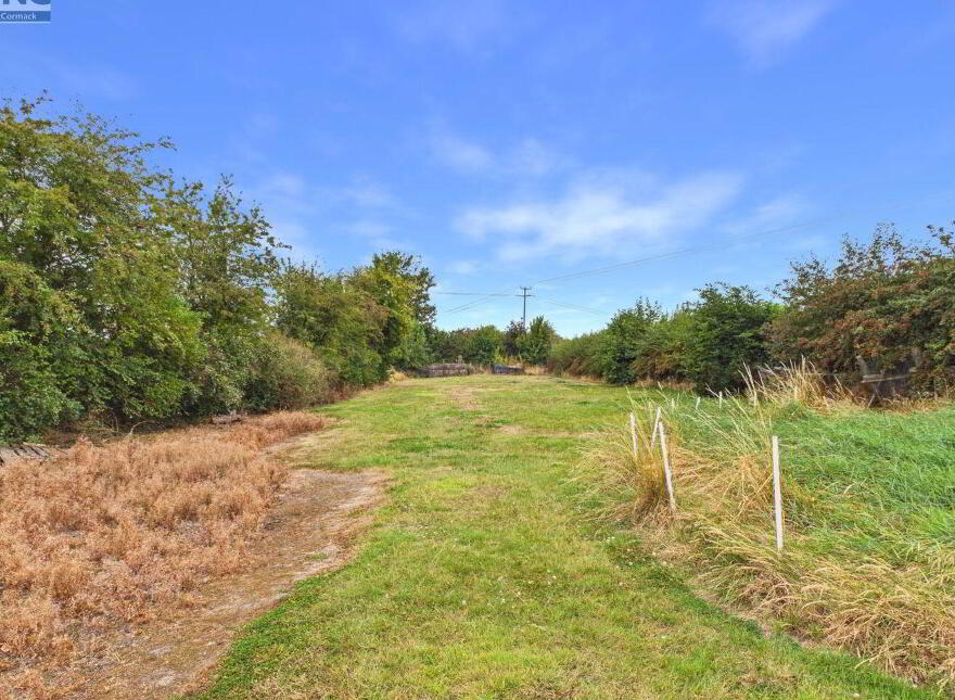 Ballinakill, Fenagh, R21F624