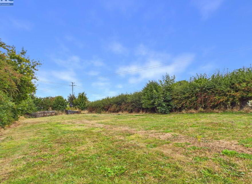 Ballinakill, Fenagh, R21F624