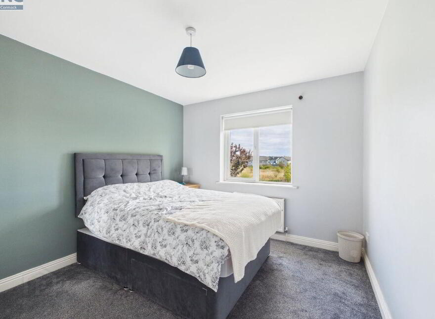30 The Crescent, Ashfield, Tullow, R93EK46