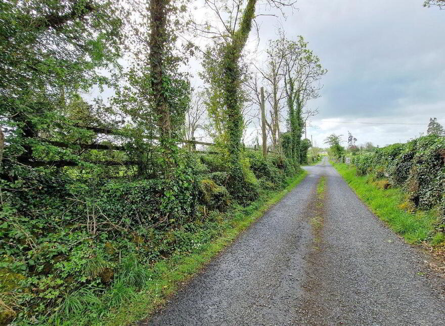 Ballyogan Land, Ennis