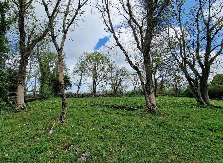 Ballyogan Land, Ennis