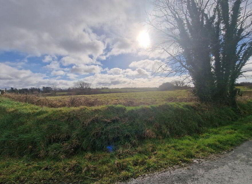 Site 2 Derryguiha, Kilmurry McMahon, Kilmurry Mcmahon