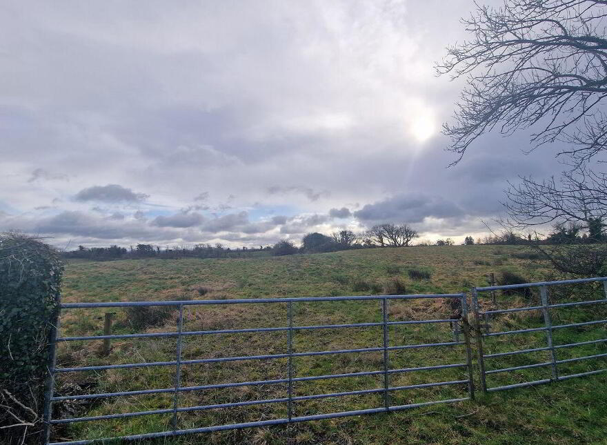 Site 2 Derryguiha, Kilmurry McMahon, Kilmurry Mcmahon