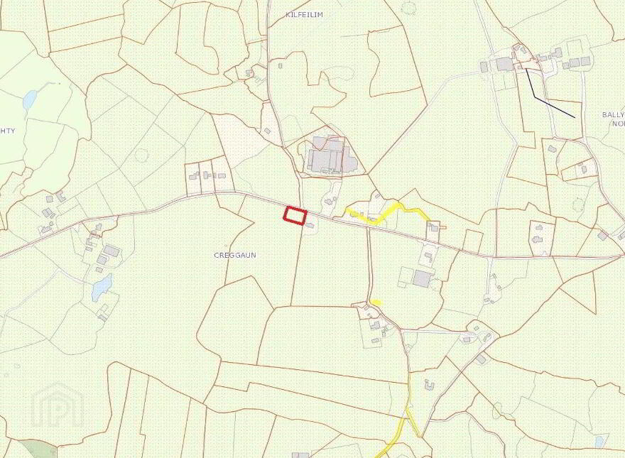 Creggaun Site, Ennis