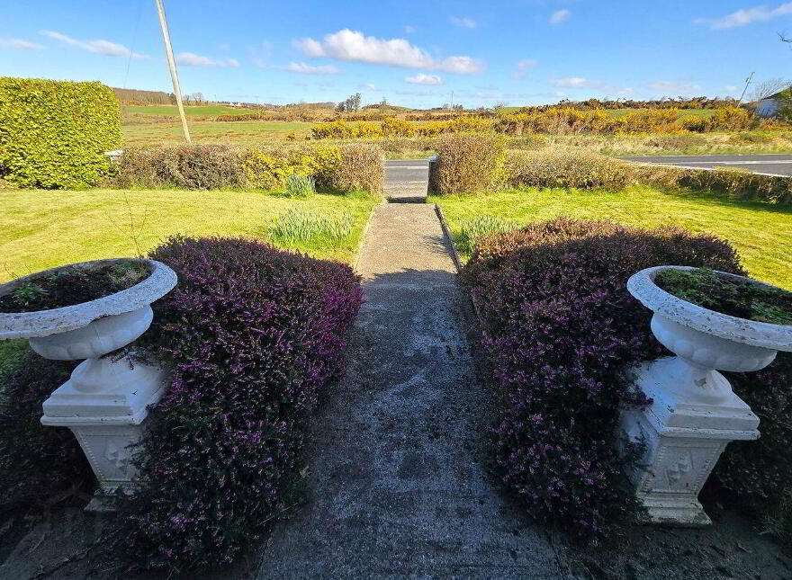 Carnanes, Kilrush, V15H778