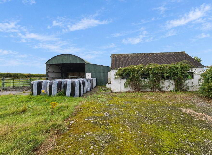 Ballynote, Kilrush, V15KX47