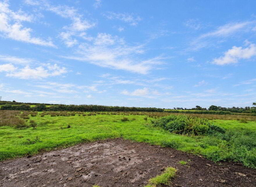 Ballynote, Kilrush, V15KX47