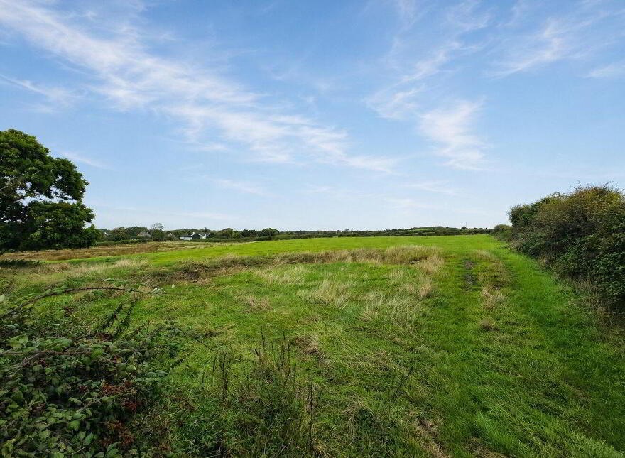 Ballynote, Kilrush, V15KX47