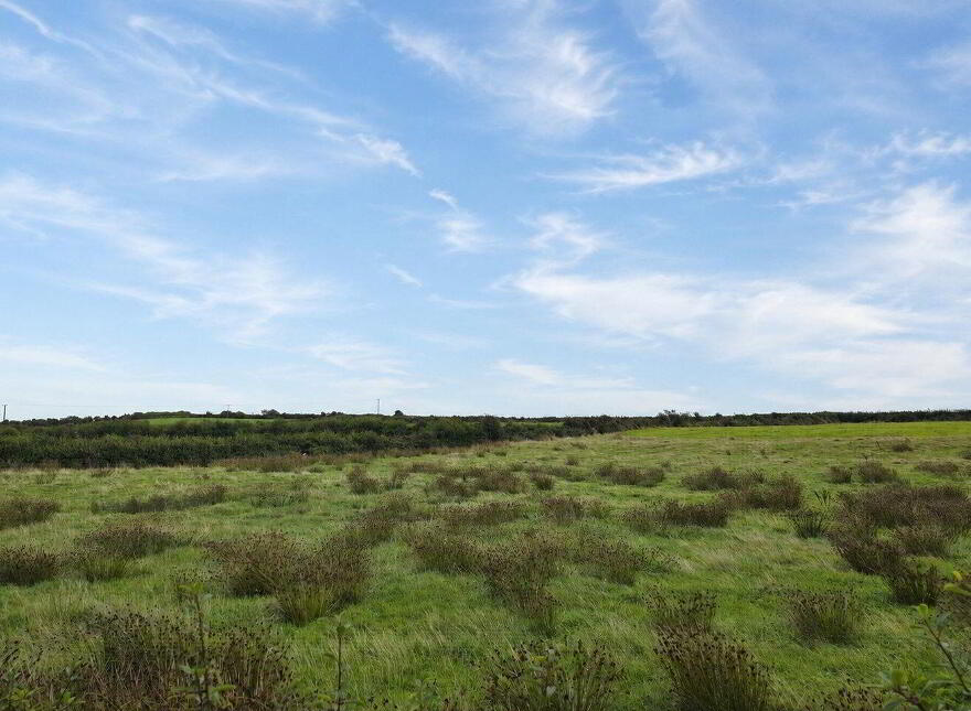 Ballynote, Kilrush, V15KX47