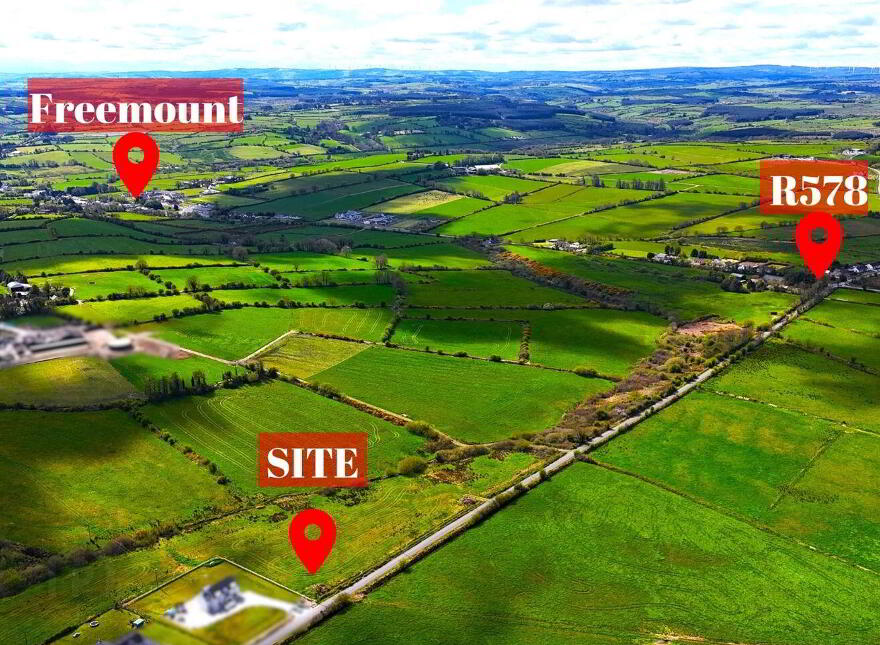 Ballinla, Freemount, P56N593