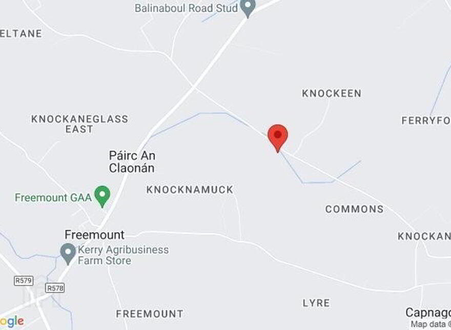 Ballinla, Freemount, P56N593