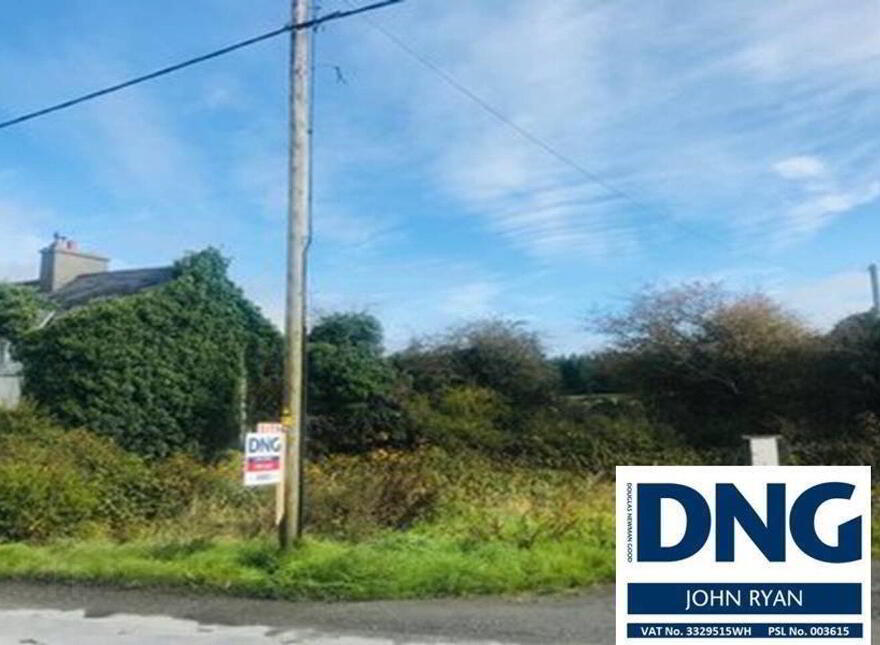 Site, Ballydesmond