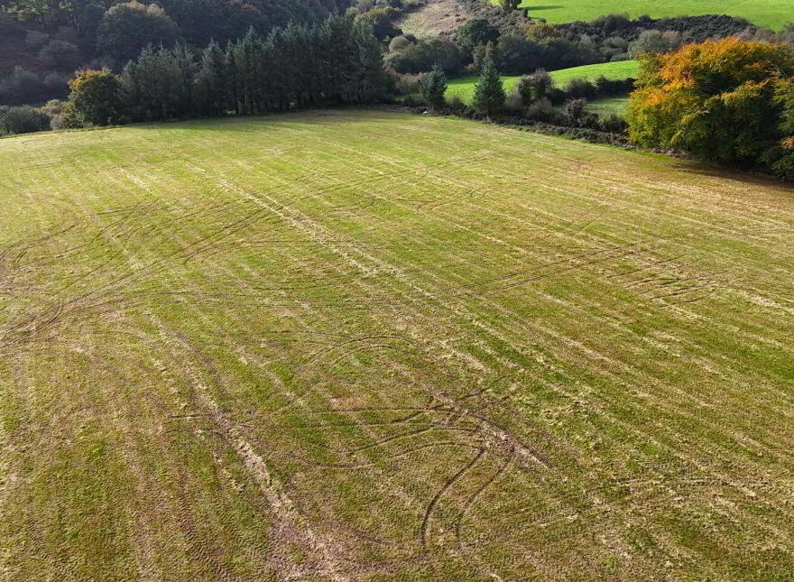 Ballyfilibeen, Mourneabbey, P51FK84