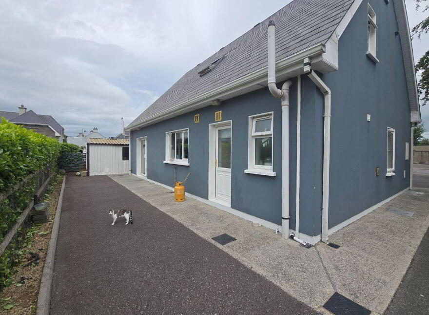 Kerry Lane, Buttevant, P51D519