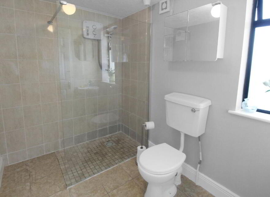 Graigacurragh, Granagh, Granagh, V35WC03