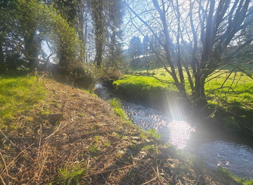 Derrygalum Creamery, Ballyhoulihan, Kanturk, P51T258