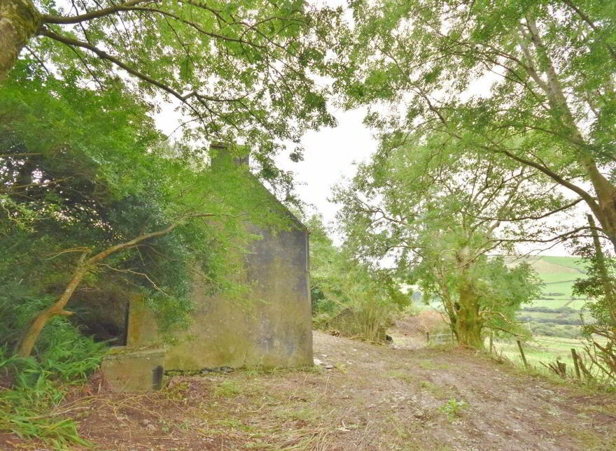 Kilduff, Anascaul, V92ND68