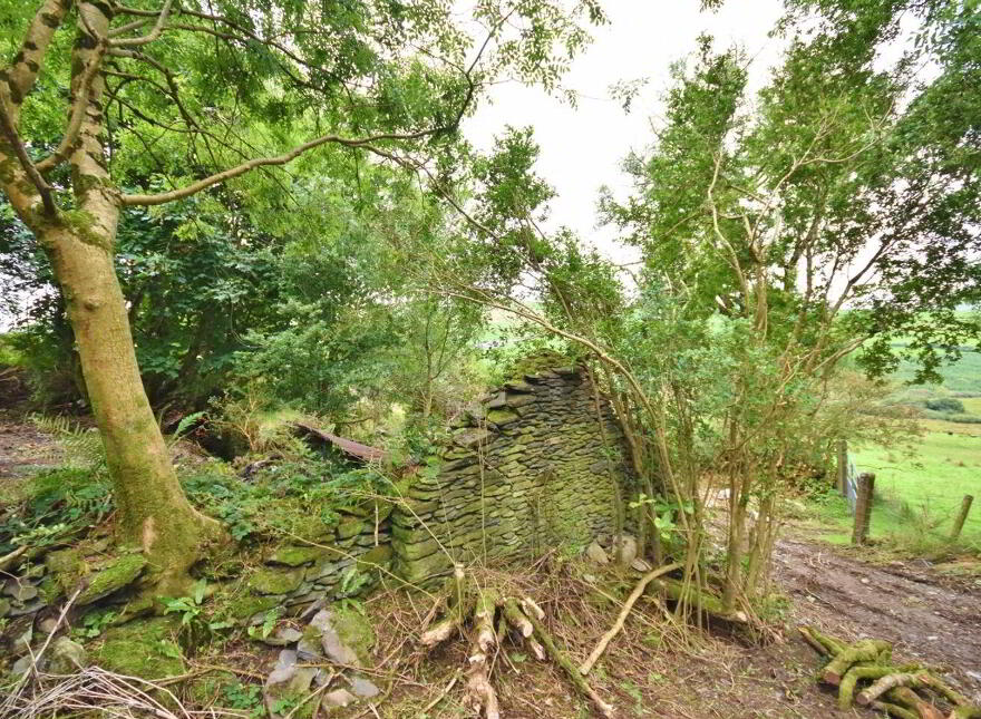 Kilduff, Anascaul, V92ND68
