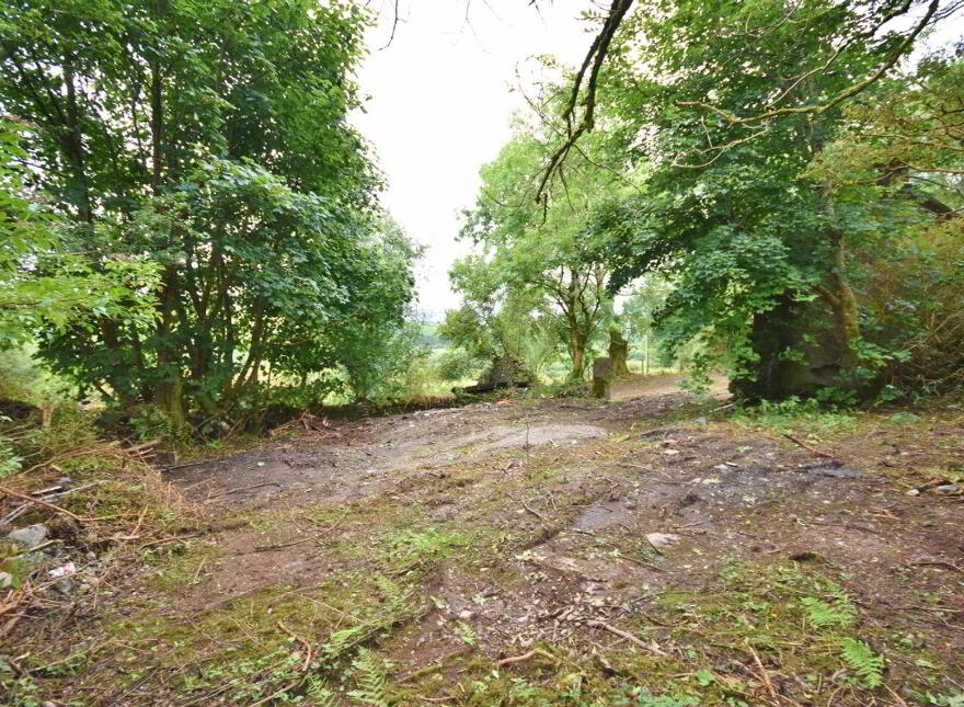 Kilduff, Anascaul, V92ND68